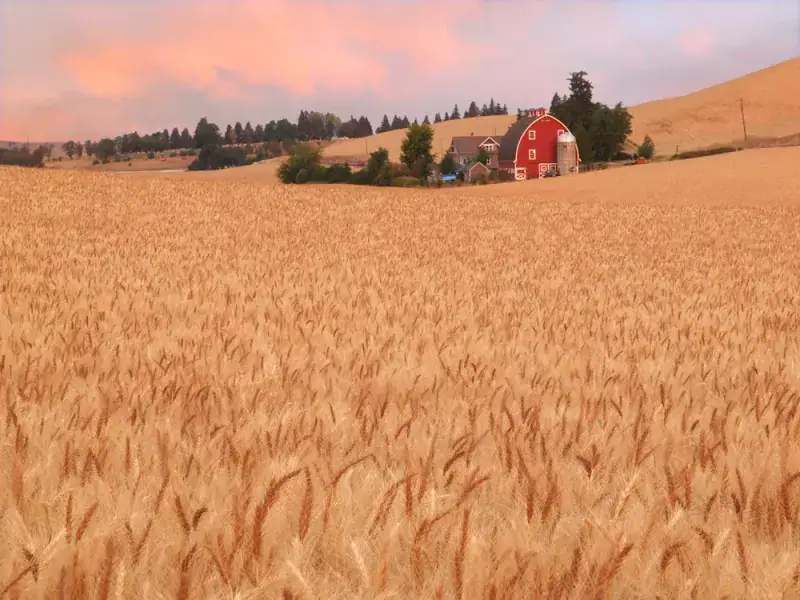 Experience Farm-to-Table Dining and Local Agricultural Heritage