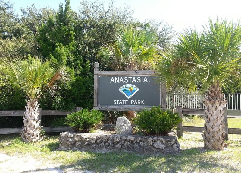 Prime Location Near Historic St. Augustine
