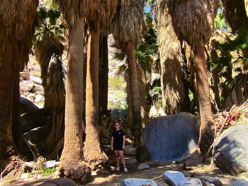 The Oasis Trail Is a Hidden Gem for Hikers