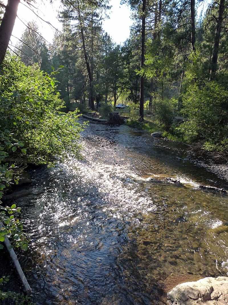 Creekside camping, no reservations needed