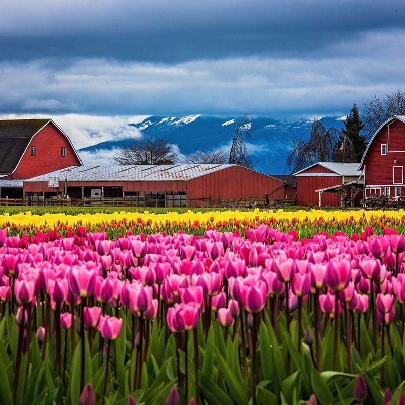 La Conner, Washington
