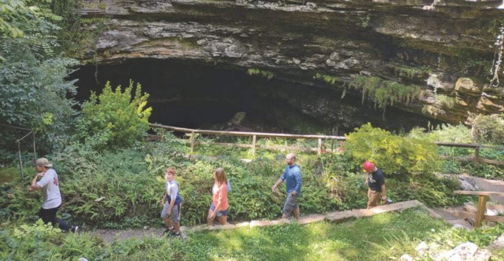 Kentucky, Horse Cave is between Cave City and Mammoth Cave National Park: The town with underground forest trails