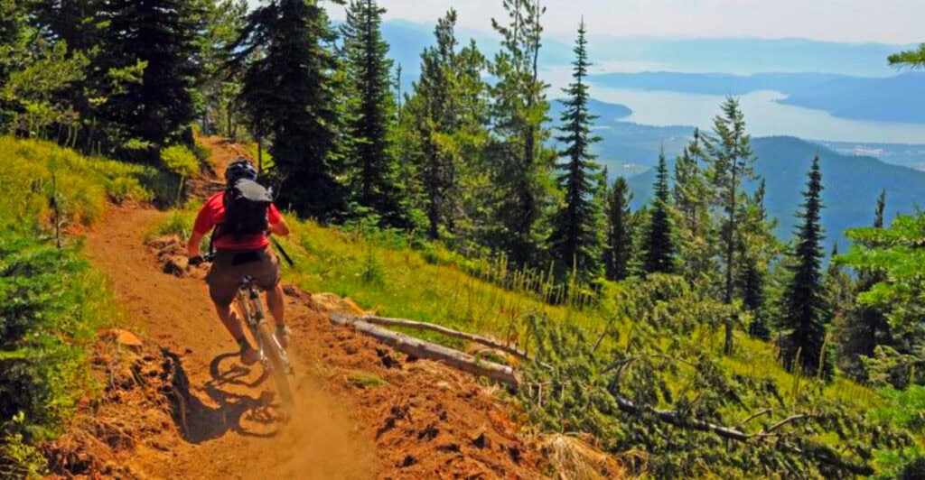 Labor Day in Sandpoint: Mountain Vibes, Lake Views, and Festival Fun