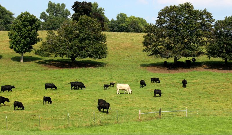 Pair your hike with a farm-to-field view