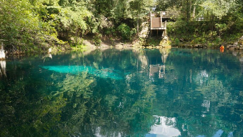 Royal Springs: The Local's Hidden Gem