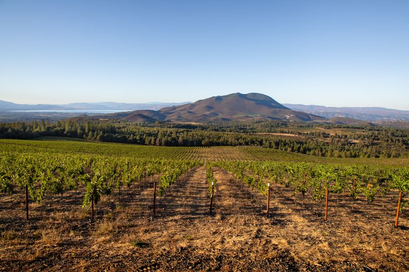 Lake County - Volcanic Wine Intensity