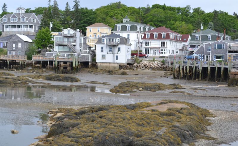 Tides That Shape Daily Life