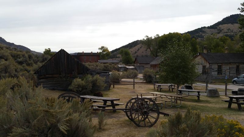 Farm-to-Table Experience with a Time-Travel Twist
