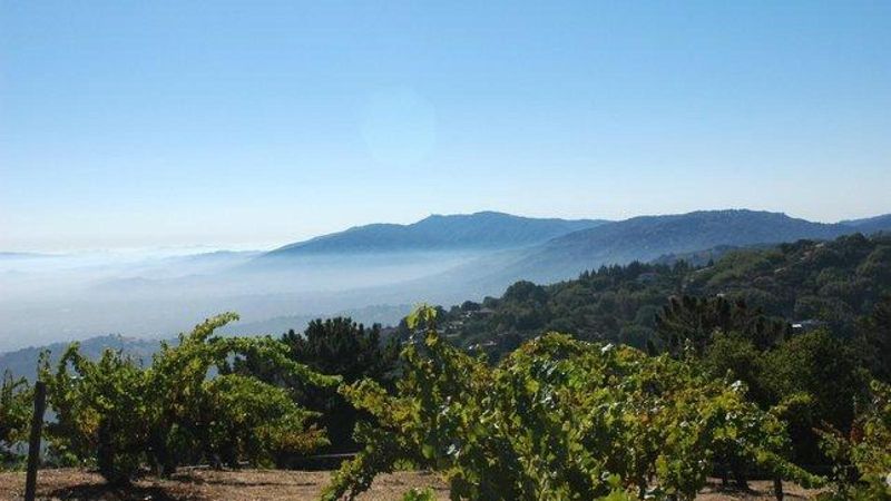 Santa Cruz Mountains - Elevation Excellence
