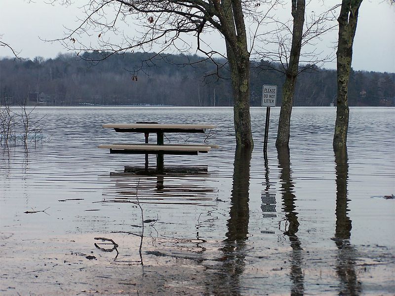 Ayer Park on Seven Tree Pond