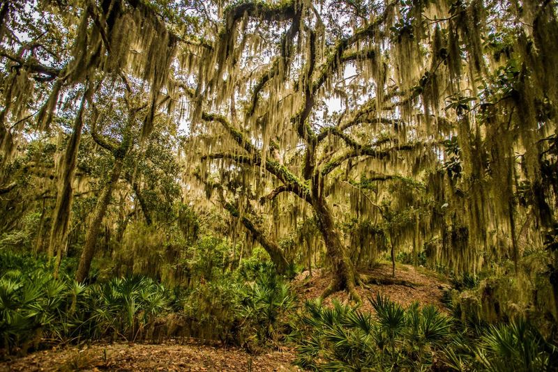 11,000 Acres of Untouched Wilderness