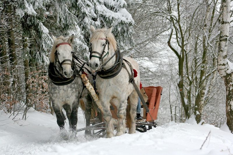 Working Farm Fun Indoors and Out