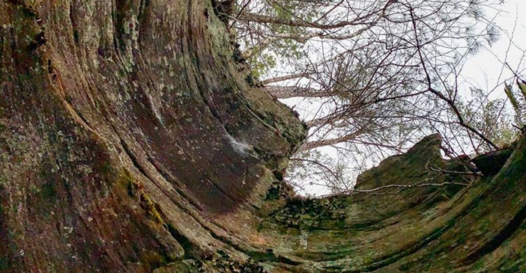 Minnesota, Sandstone is between Hinckley and Pine City: The town where pines grow right out of solid stone