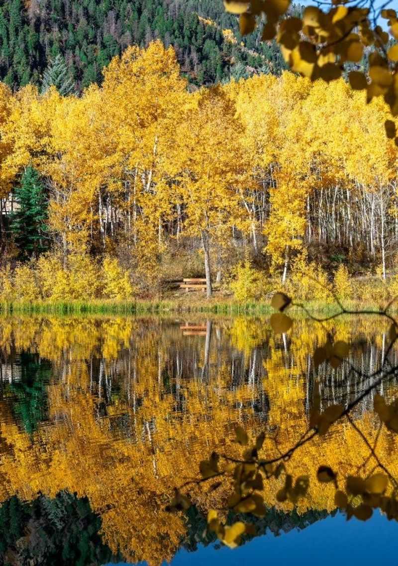 Tips for an Enchanting Independence Pass Visit