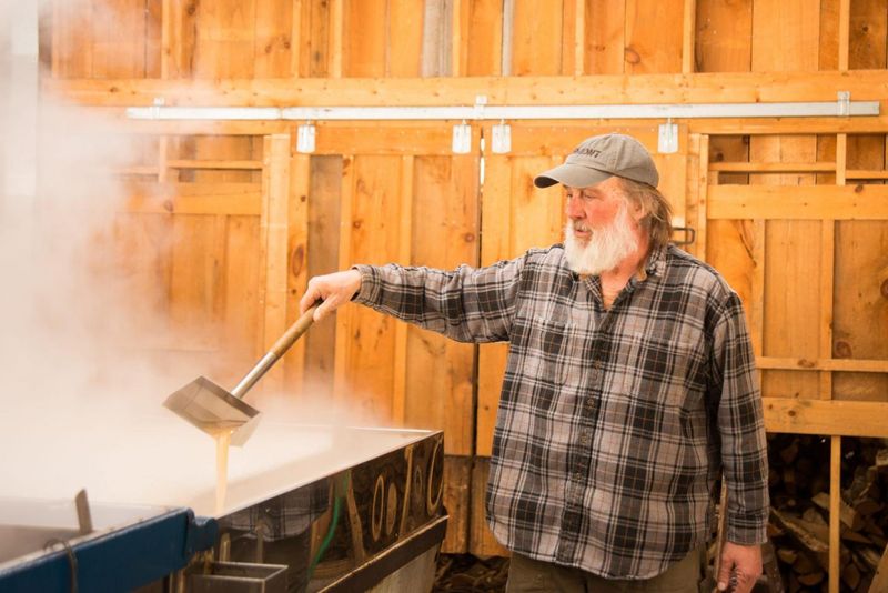 Maple Tapping Heritage: Beyond Just Pretty Trees