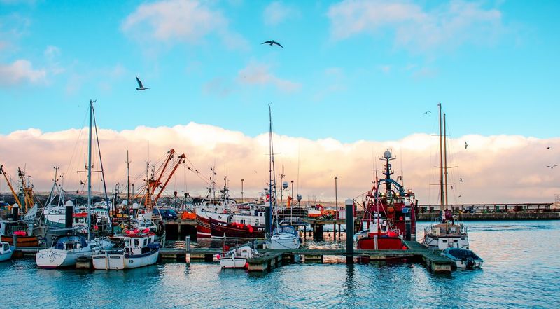 That Seaside Calm You're Craving