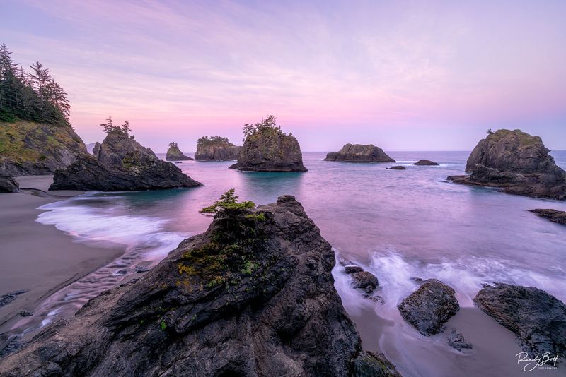 Perfect Timing For Peaceful Beach Moments
