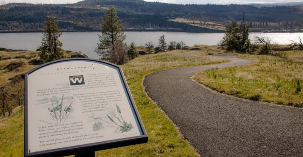 Oregon’s Canyon Hideaway: A Quiet State Park with Creekside Camping & Mountain Views