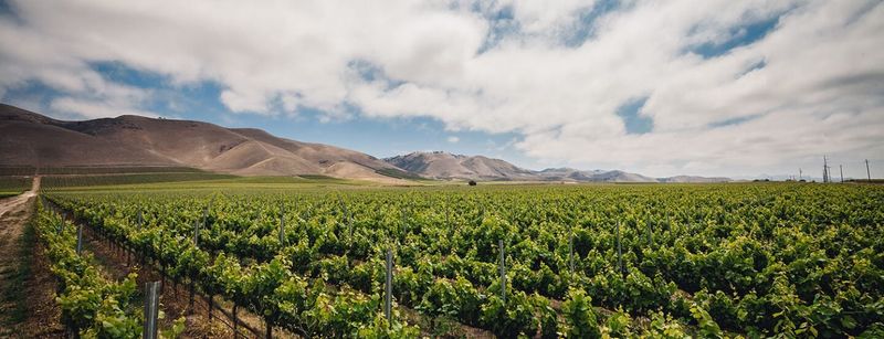 Santa Barbara County - Where Ocean Meets Vine
