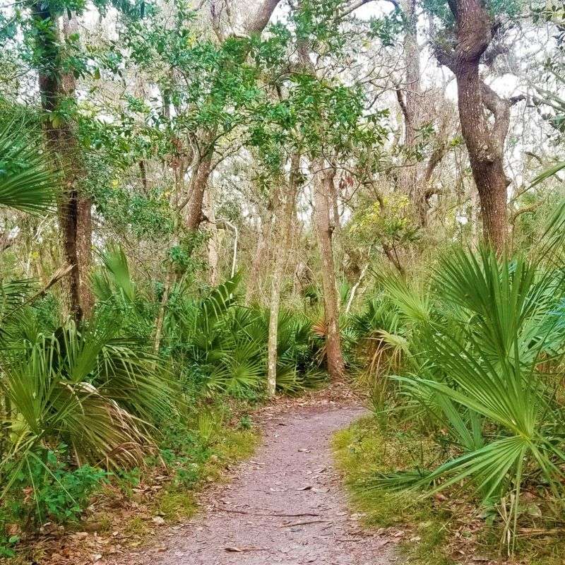 Ancient Dunes Nature Trail Through Coastal Hammock