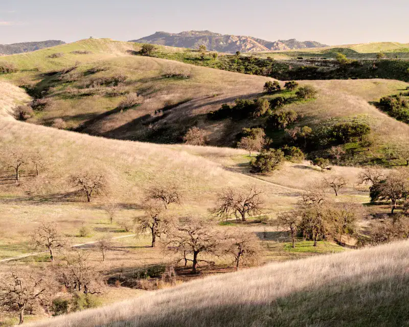 Wander the Cheeseboro & Palo Comado canyon network
