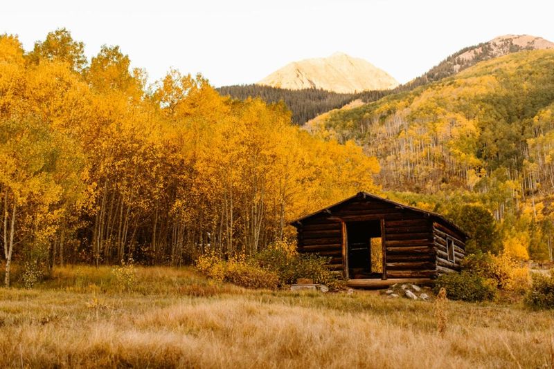 More Than a Drive: Nearby Stops Worth Exploring