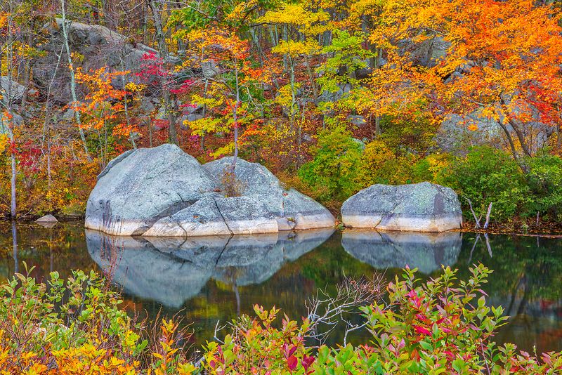Lincoln Woods State Park, Rhode Island