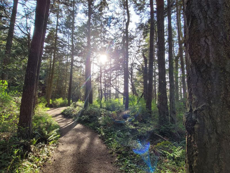 Hiking Trails for Every Explorer