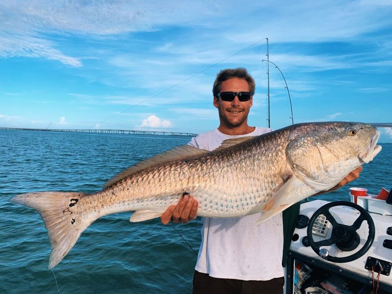 Red Drum Fishing Season Peaks