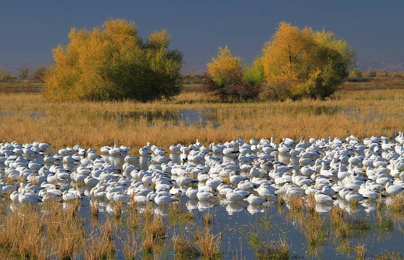 Wildlife Refuges Just Steps Away