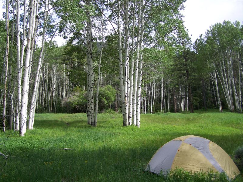 Secure Your Camping Sanctuary