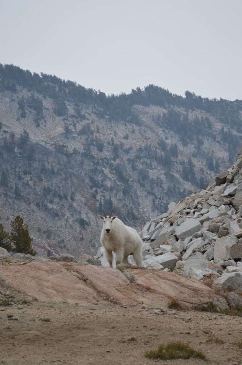 Exceptional Wildlife Viewing