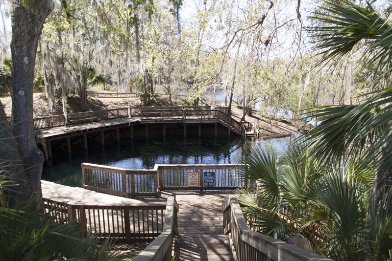 Branford Springs at Ivey Memorial Park: The Town's Heart