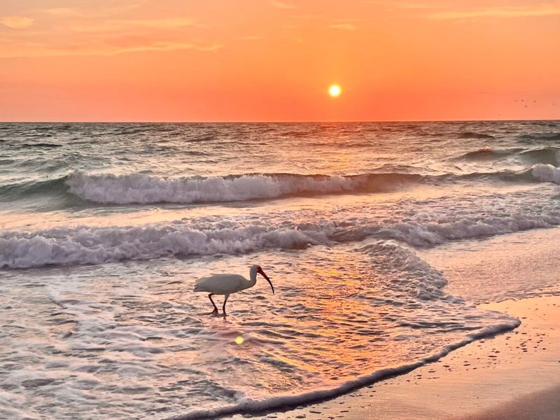 Anna Maria Island, Florida
