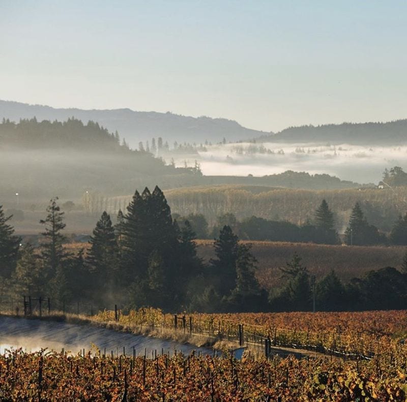 Anderson Valley - Sparkling Wine Paradise