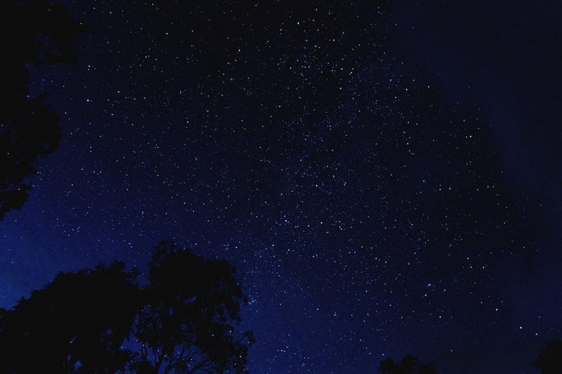 Dark skies reveal brilliant stars