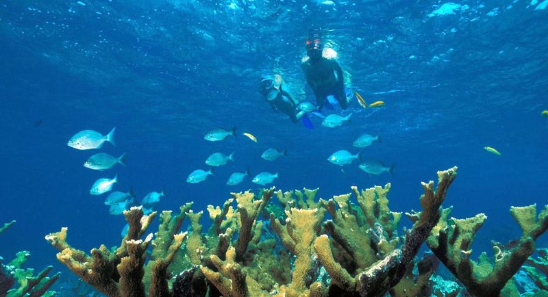 Join Expert-Led Tours for the Best Experience