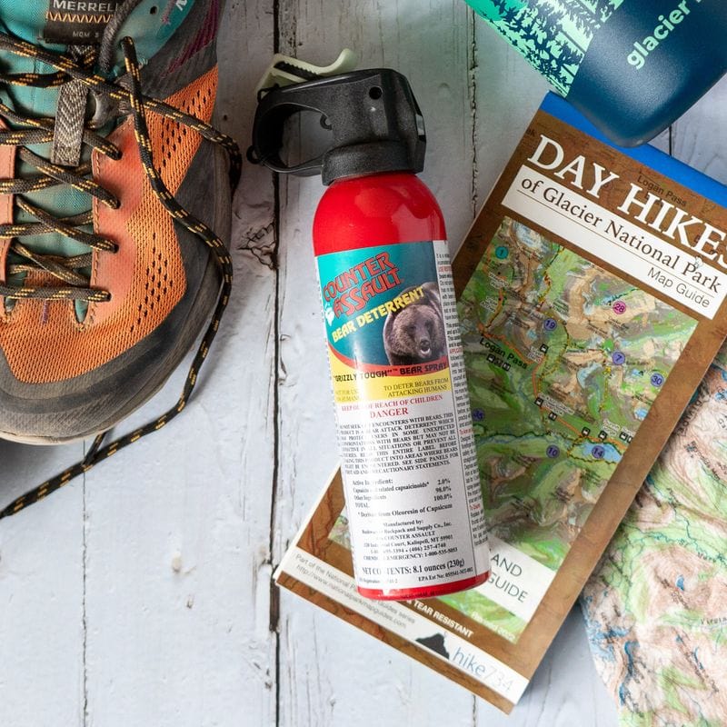 Practice bear-smart travel