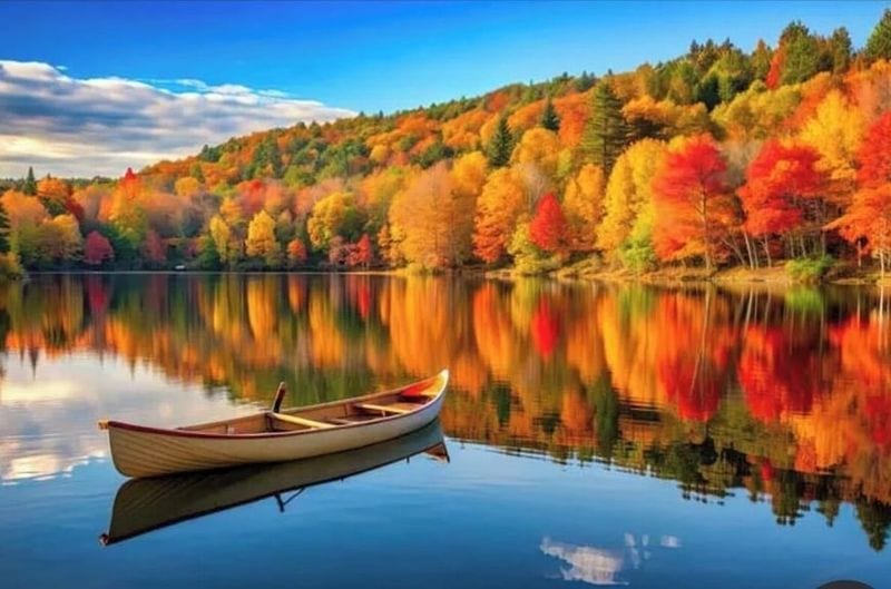 Paddle the Beautiful Union River