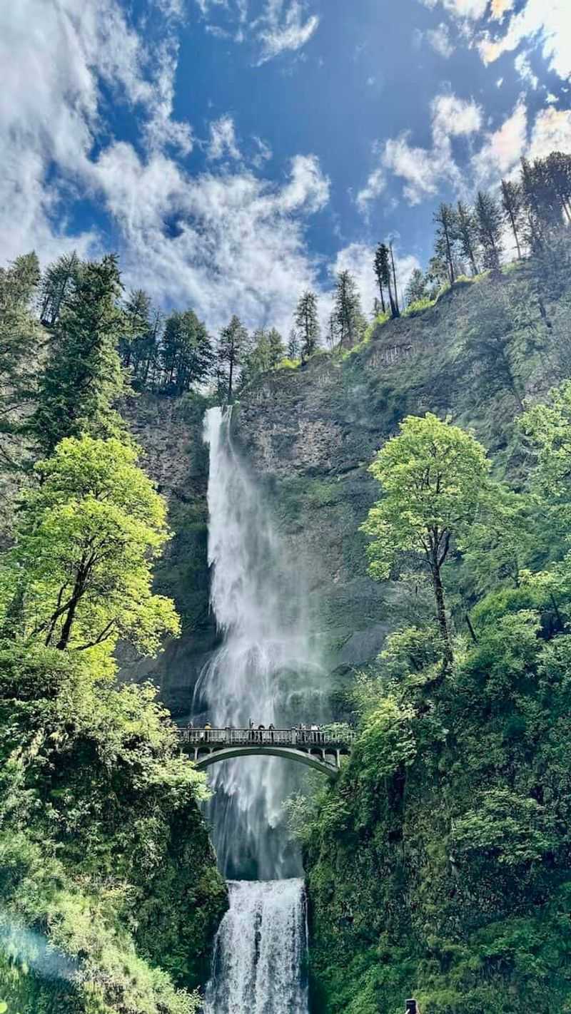 Explore the Magnificent Columbia River Gorge