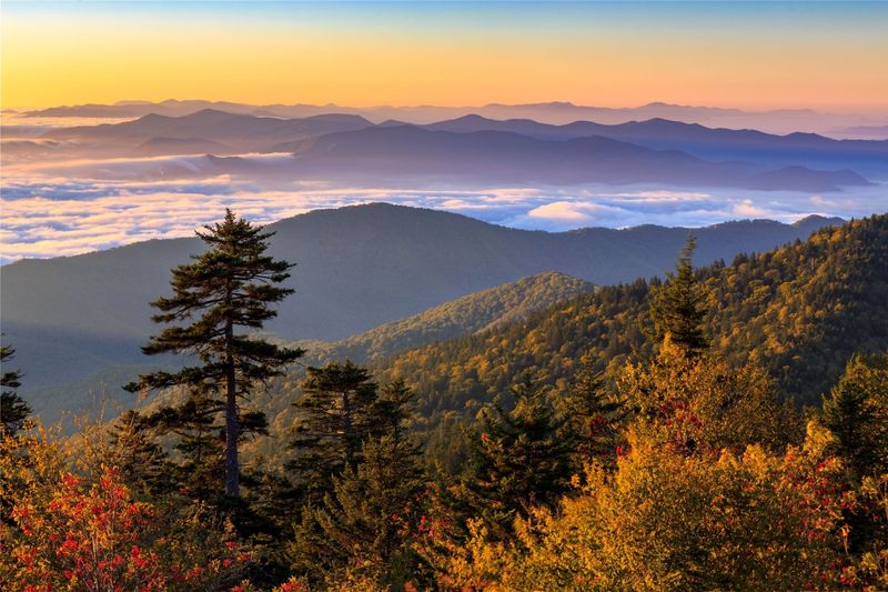 Fall Arrives First at the Summit