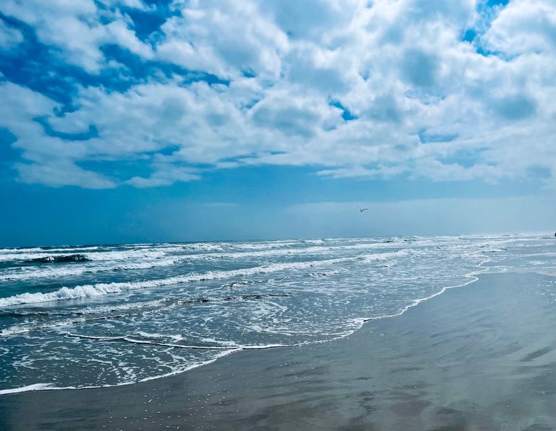 What (and where) is San José Island?