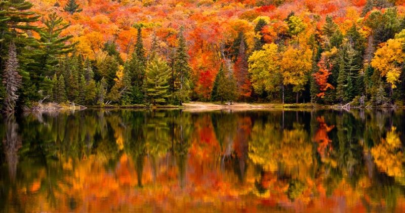 Algonquin Provincial Park, Ontario