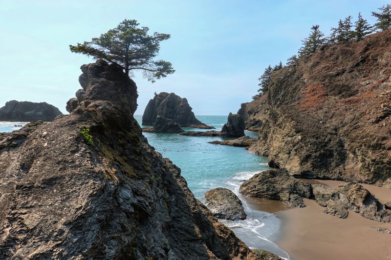 Timing Your Visit With Ocean Rhythms