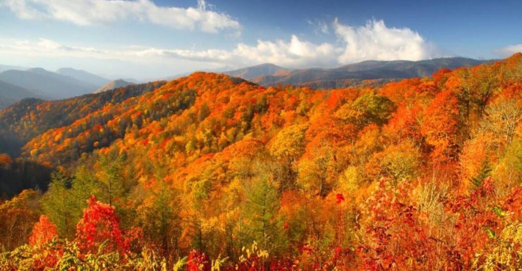 This Mountain Top Glows Orange Every Fall – And It’s Breathtaking