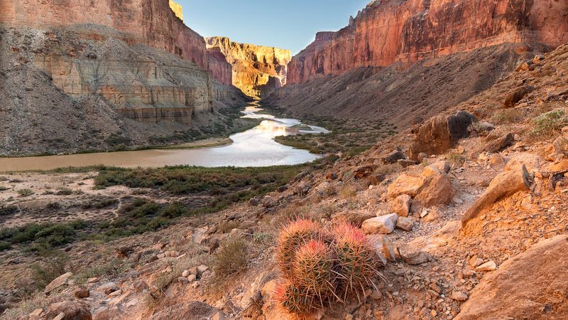 A Surprisingly Young Canyon