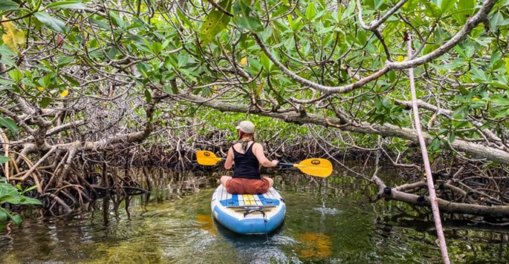 This Underrated National Park in Florida Is Finally Getting Attention