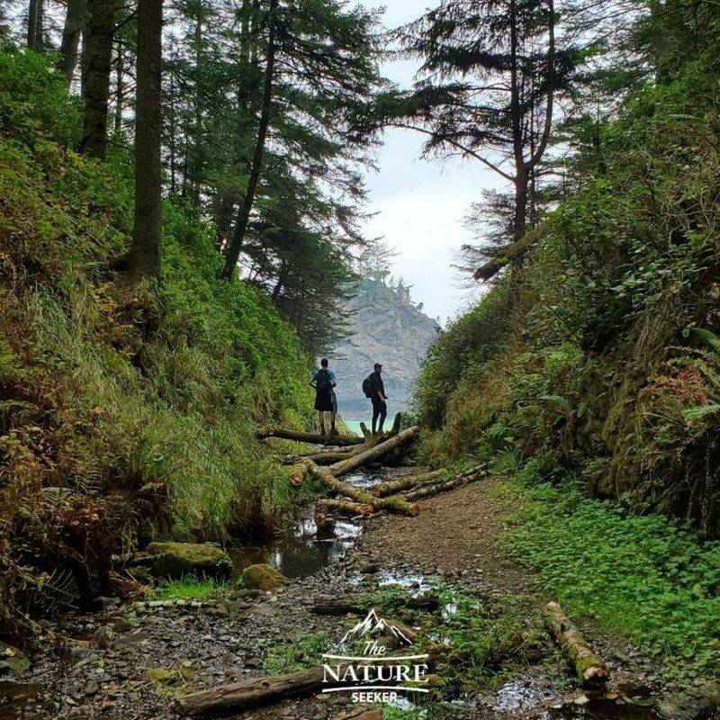 Trail Challenges That Separate Casual Visitors