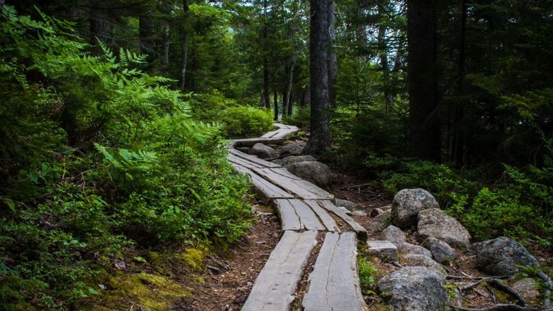 Explore Outdoor Adventures Beyond Acadia