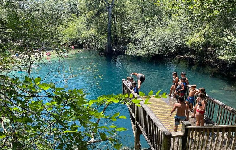 Little River Springs: A Family-Friendly Aquatic Paradise